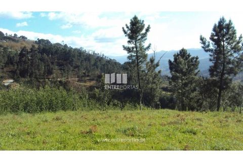 Helårsgrund i Ancede e Ribadouro, Porto, Ancede e Ribadouro - € 90.000 | Ref: MC06587 - foto 17