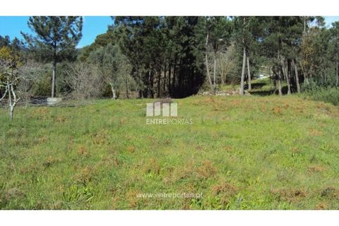 Helårsgrund i Ancede e Ribadouro, Porto, Ancede e Ribadouro - € 90.000 | Ref: MC06587 - foto 18