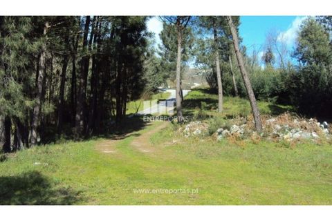Helårsgrund i Ancede e Ribadouro, Porto, Ancede e Ribadouro - € 90.000 | Ref: MC06587 - foto 19