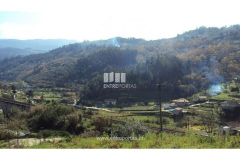 Helårsgrund i Ancede e Ribadouro, Porto, Ancede e Ribadouro - € 90.000 | Ref: MC06587 - foto 21
