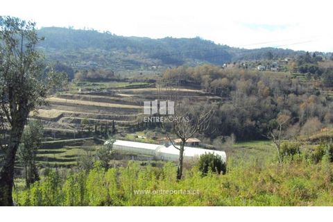 Helårsgrund i Ancede e Ribadouro, Porto, Ancede e Ribadouro - € 90.000 | Ref: MC06587 - foto 22