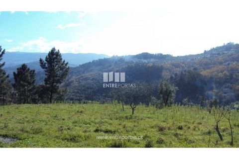 Helårsgrund i Ancede e Ribadouro, Porto, Ancede e Ribadouro - € 90.000 | Ref: MC06587 - foto 23