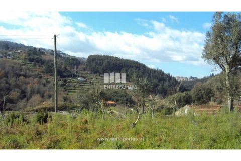 Helårsgrund i Ancede e Ribadouro, Porto, Ancede e Ribadouro - € 90.000 | Ref: MC06587 - foto 24