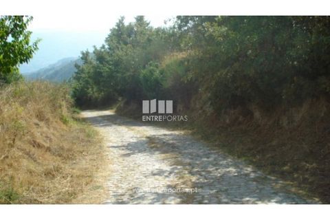Terreno en Ancede e Ribadouro, Porto, Ancede e Ribadouro - € 85.000 | Ref: MC06497 - photo 12