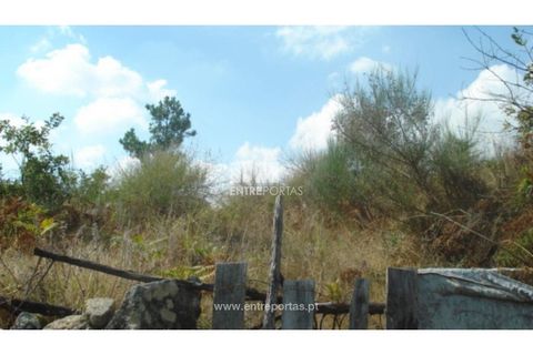 Terreno en Ancede e Ribadouro, Porto, Ancede e Ribadouro - € 85.000 | Ref: MC06497 - photo 21