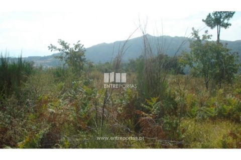 Helårsgrund i Ancede e Ribadouro, Porto, Ancede e Ribadouro - € 40.000 | Ref: MC06500 - foto 1