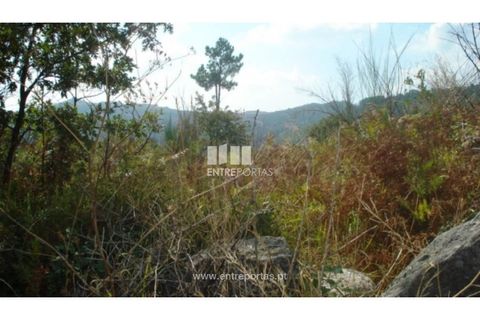 Helårsgrund i Ancede e Ribadouro, Porto, Ancede e Ribadouro - € 40.000 | Ref: MC06500 - foto 2