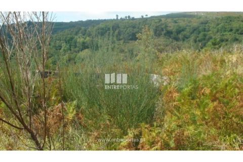 Helårsgrund i Ancede e Ribadouro, Porto, Ancede e Ribadouro - € 40.000 | Ref: MC06500 - foto 3