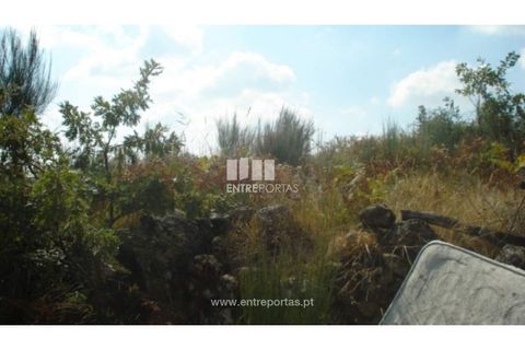 Helårsgrund i Ancede e Ribadouro, Porto, Ancede e Ribadouro - € 40.000 | Ref: MC06500 - foto 4
