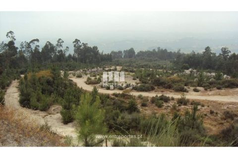 Helårsgrund i Amarante, Porto, Amarante - € 200.000 | Ref: MC06445 - foto 1
