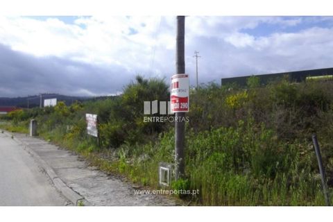 Terra a Pacos, Vila Real, Pacos - € 31.000 | Ref: MC06737 - foto 4