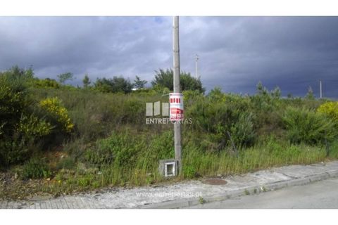 Terra a Pacos, Vila Real, Pacos - € 31.000 | Ref: MC06737 - foto 5
