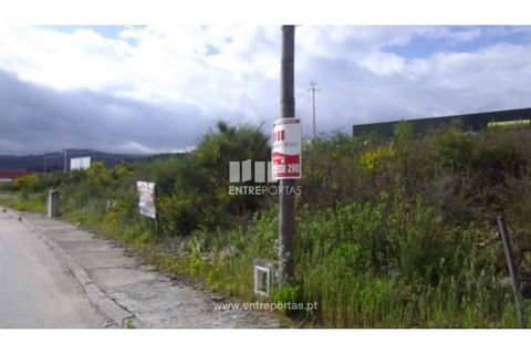 Terra a Pacos, Vila Real, Pacos - € 31.000 | Ref: MC06737 - foto 10