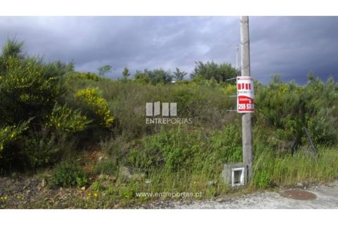 Terra a Pacos, Vila Real, Pacos - € 31.000 | Ref: MC06737 - foto 11