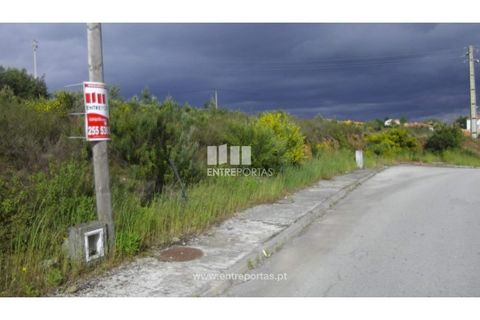 Terra a Pacos, Vila Real, Pacos - € 31.000 | Ref: MC06737 - foto 19
