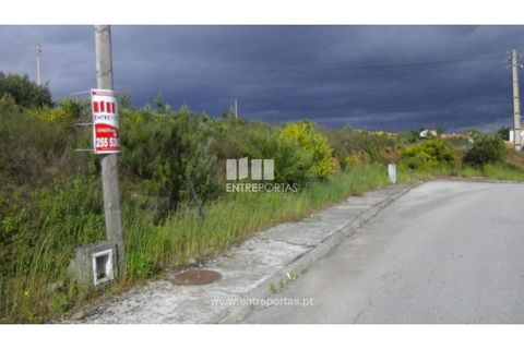Terra a Pacos, Vila Real, Pacos - € 31.000 | Ref: MC06737 - foto 28