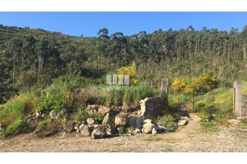 Terra a Barroselas, Viana do Castelo, Barroselas - € 133.000 | Ref: VCC11250 - foto 10