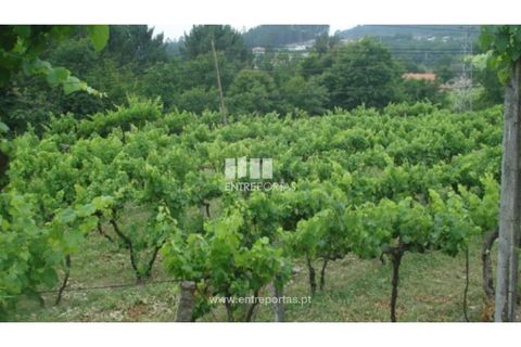 Terra a Banho e Carvalhosa, Porto, Banho e Carvalhosa - € 56.500 | Ref: MC06783 - foto 3