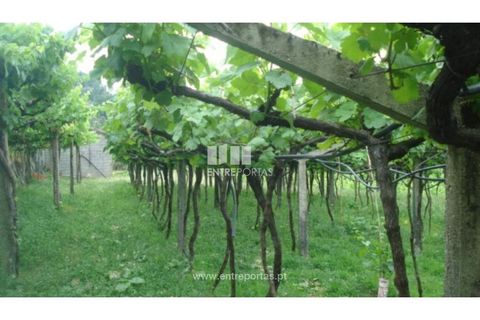 Terra a Banho e Carvalhosa, Porto, Banho e Carvalhosa - € 56.500 | Ref: MC06783 - foto 4