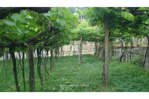 Terra a Banho e Carvalhosa, Porto, Banho e Carvalhosa - € 56.500 | Ref: MC06783 - foto 5