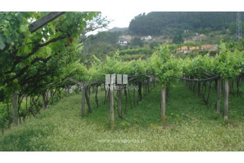 Terra a Banho e Carvalhosa, Porto, Banho e Carvalhosa - € 56.500 | Ref: MC06783 - foto 6