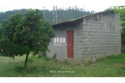 Terra a Banho e Carvalhosa, Porto, Banho e Carvalhosa - € 56.500 | Ref: MC06783 - foto 7