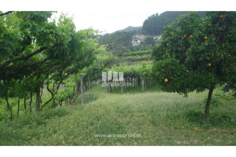 Terra a Banho e Carvalhosa, Porto, Banho e Carvalhosa - € 56.500 | Ref: MC06783 - foto 8