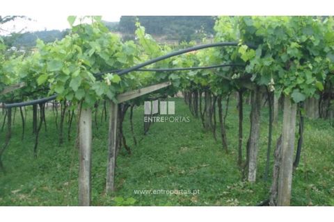 Terra a Banho e Carvalhosa, Porto, Banho e Carvalhosa - € 56.500 | Ref: MC06783 - foto 9