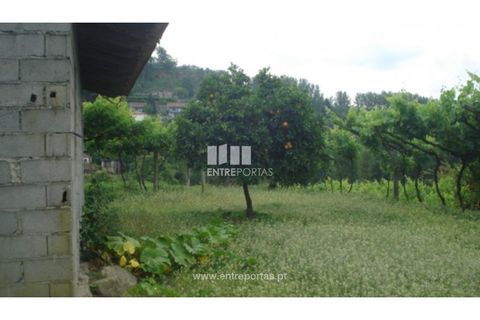 Terra a Banho e Carvalhosa, Porto, Banho e Carvalhosa - € 56.500 | Ref: MC06783 - foto 10