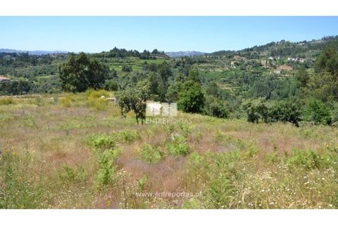 Helårsgrund i Banho e Carvalhosa, Porto, Banho e Carvalhosa - € 65.000 | Ref: MC06846 - foto 1