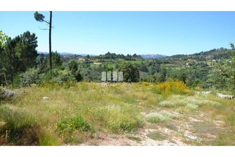 Helårsgrund i Banho e Carvalhosa, Porto, Banho e Carvalhosa - € 65.000 | Ref: MC06846 - foto 5