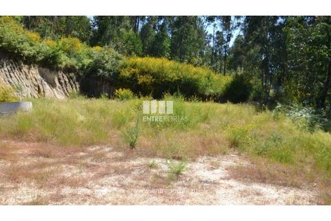 Helårsgrund i Banho e Carvalhosa, Porto, Banho e Carvalhosa - € 65.000 | Ref: MC06846 - foto 7