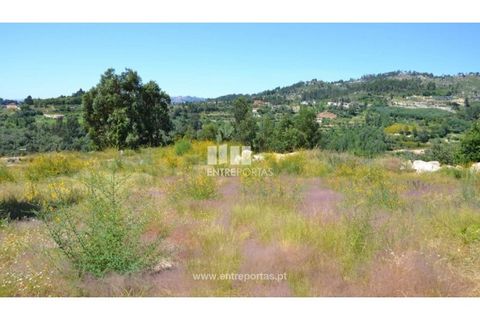 Helårsgrund i Banho e Carvalhosa, Porto, Banho e Carvalhosa - € 65.000 | Ref: MC06846 - foto 9