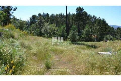 Helårsgrund i Banho e Carvalhosa, Porto, Banho e Carvalhosa - € 65.000 | Ref: MC06846 - foto 10