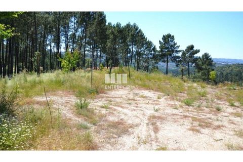 Helårsgrund i Banho e Carvalhosa, Porto, Banho e Carvalhosa - € 65.000 | Ref: MC06846 - foto 11