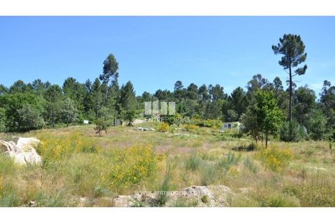 Helårsgrund i Banho e Carvalhosa, Porto, Banho e Carvalhosa - € 65.000 | Ref: MC06846 - foto 13