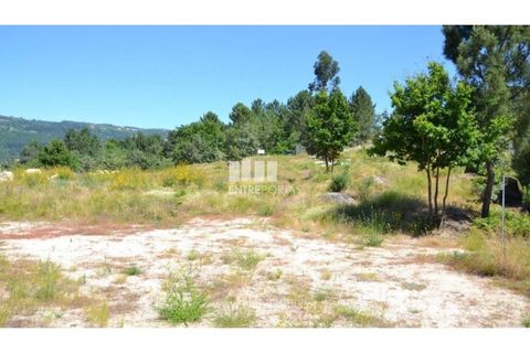 Helårsgrund i Banho e Carvalhosa, Porto, Banho e Carvalhosa - € 65.000 | Ref: MC06846 - foto 15