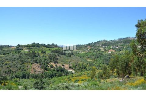 Helårsgrund i Banho e Carvalhosa, Porto, Banho e Carvalhosa - € 65.000 | Ref: MC06846 - foto 16
