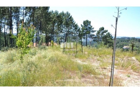 Helårsgrund i Banho e Carvalhosa, Porto, Banho e Carvalhosa - € 65.000 | Ref: MC06846 - foto 17