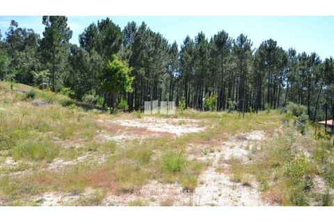 Helårsgrund i Banho e Carvalhosa, Porto, Banho e Carvalhosa - € 65.000 | Ref: MC06846 - foto 18