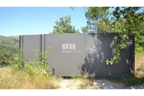 Helårsgrund i Banho e Carvalhosa, Porto, Banho e Carvalhosa - € 65.000 | Ref: MC06846 - foto 19