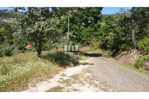 Helårsgrund i Banho e Carvalhosa, Porto, Banho e Carvalhosa - € 65.000 | Ref: MC06846 - foto 20