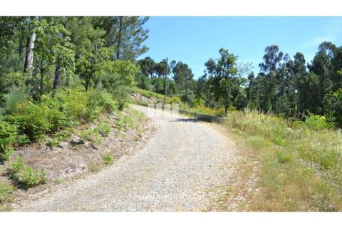Helårsgrund i Banho e Carvalhosa, Porto, Banho e Carvalhosa - € 65.000 | Ref: MC06846 - foto 21