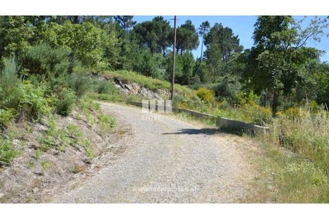 Helårsgrund i Banho e Carvalhosa, Porto, Banho e Carvalhosa - € 65.000 | Ref: MC06846 - foto 22
