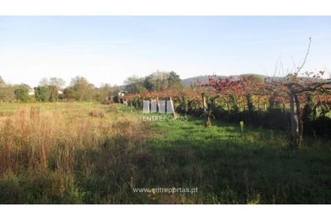 Helårsgrund i Barroselas, Viana do Castelo, Barroselas - € 8.500 | Ref: VCM11468(1) - foto 4