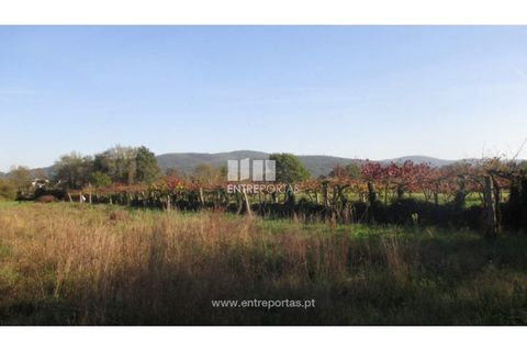 Helårsgrund i Barroselas, Viana do Castelo, Barroselas - € 8.500 | Ref: VCM11468(1) - foto 8