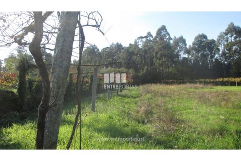Helårsgrund i Barroselas, Viana do Castelo, Barroselas - € 8.500 | Ref: VCM11468(1) - foto 16