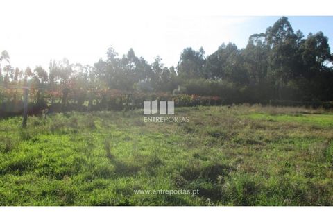 Helårsgrund i Barroselas, Viana do Castelo, Barroselas - € 8.500 | Ref: VCM11468(1) - foto 19
