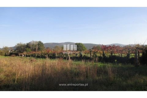 Helårsgrund i Barroselas, Viana do Castelo, Barroselas - € 8.500 | Ref: VCM11468(1) - foto 24