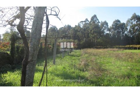 Helårsgrund i Barroselas, Viana do Castelo, Barroselas - € 8.500 | Ref: VCM11468(1) - foto 29